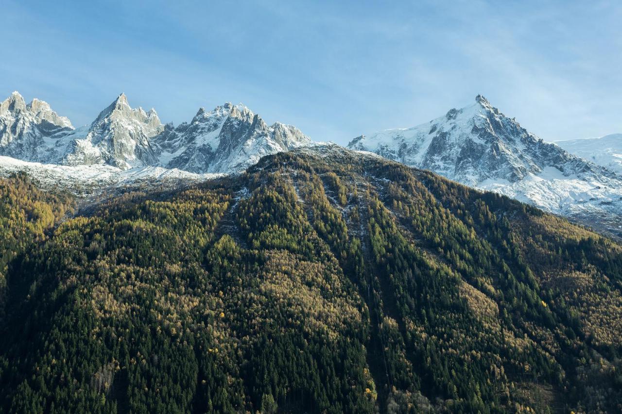 Residence Du Brevent Chamonix Buitenkant foto